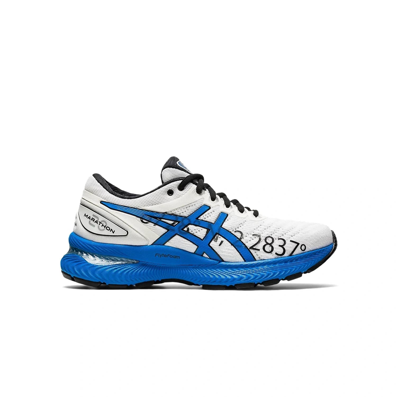 BRB ASICS GEL-NIMBUS 22 1012A772-101 product image