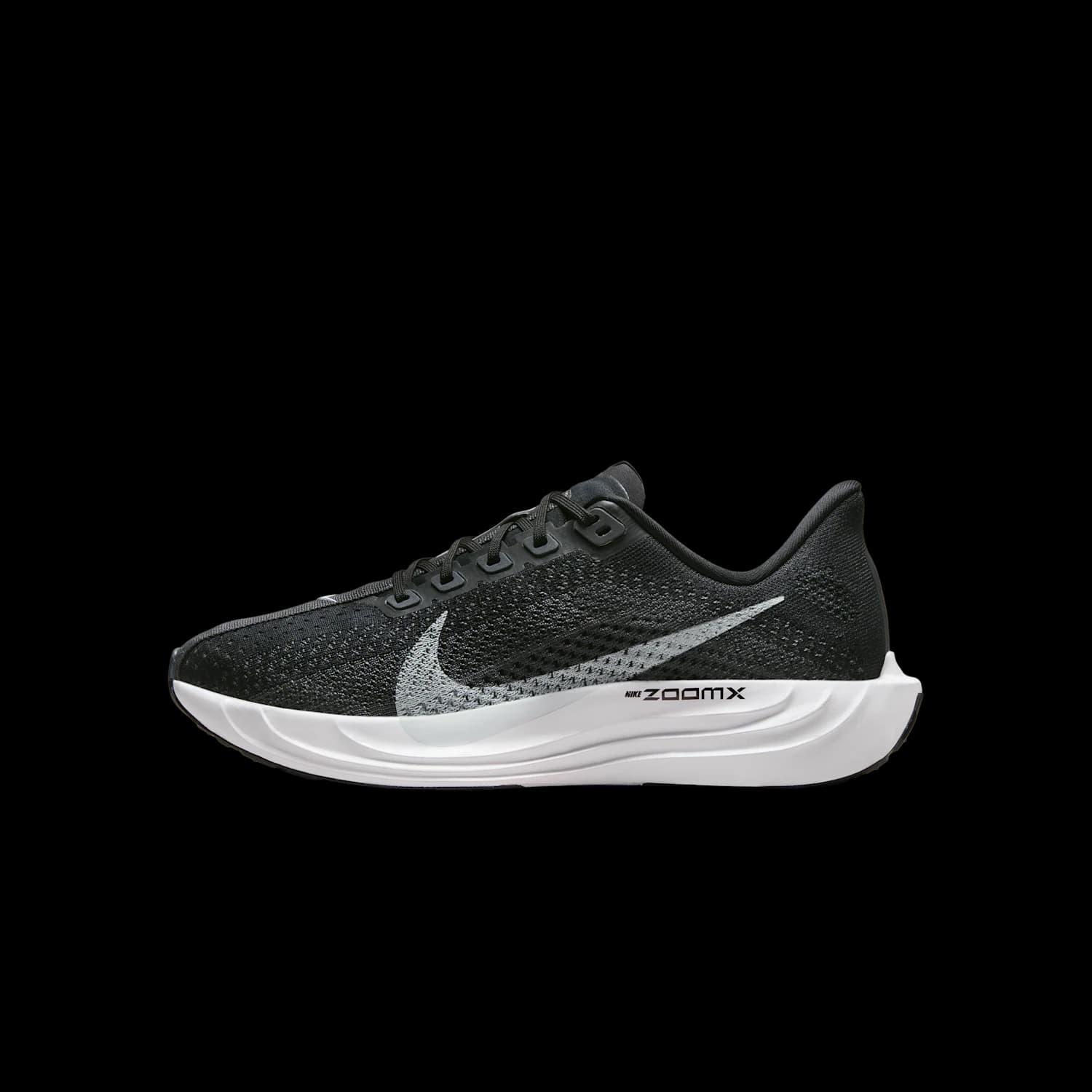 BRB NIKE Pegasus Plus FQ7261-002 product image