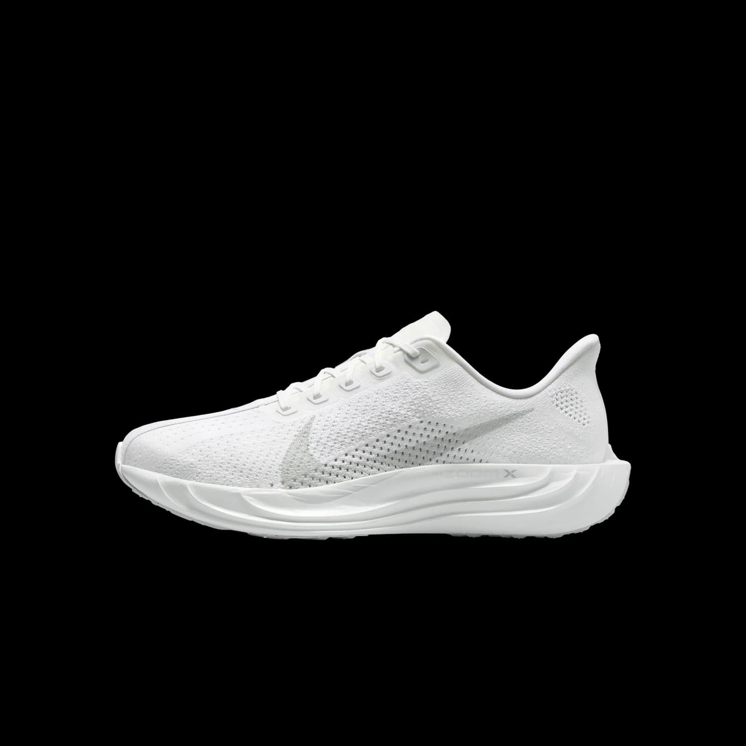 BRB NIKE Pegasus Plus FQ7262-102 product image